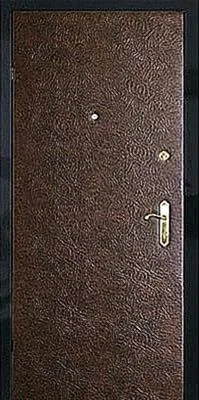 Входная дверь Andromeda-1 (Винилискожа)